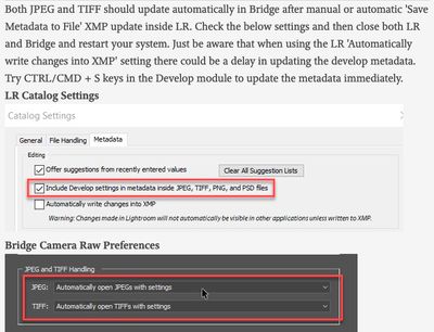 Lightroom & Bridge.jpg