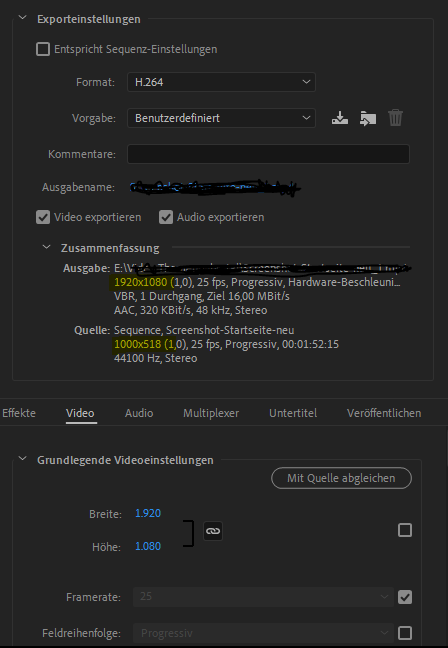 Screen Einstellungen Premiere Pro.PNG