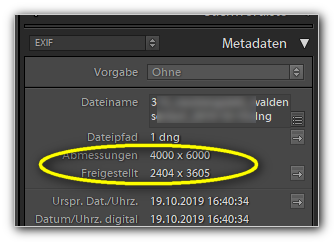 2019-11-01_shot_001.png