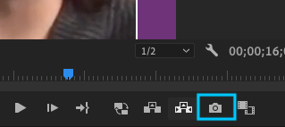 Screen Shot 2020-12-29 at 1.20.07 PM.png