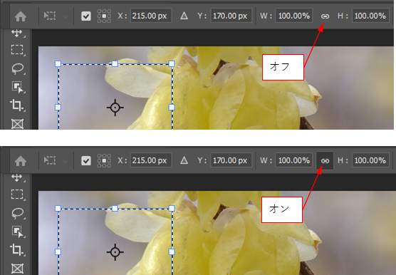 Photoshop 基準 点 の 位置 固定