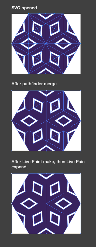 illustrator_merge_issue_complex.png