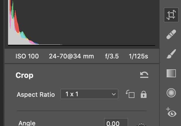 Can't save desired aspect ratio as default in Came... - Adobe Community