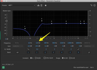 Parametric_Equalizer_setting.jpg