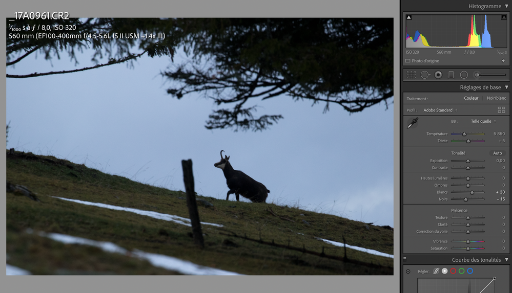Capture d’écran 2021-01-06 à 19.48.43.png
