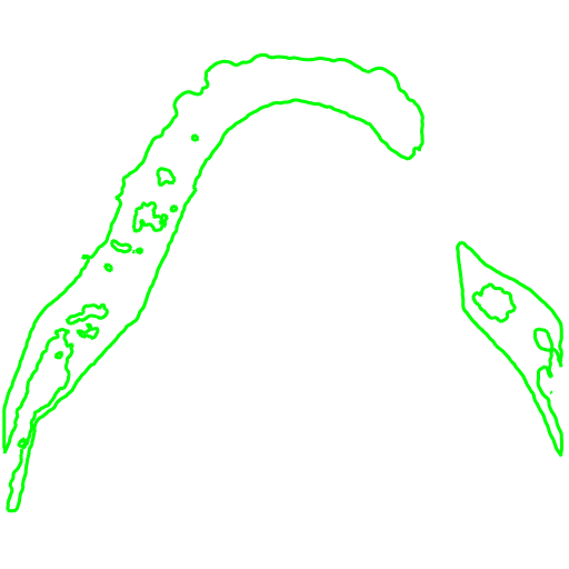 bchNG160.png