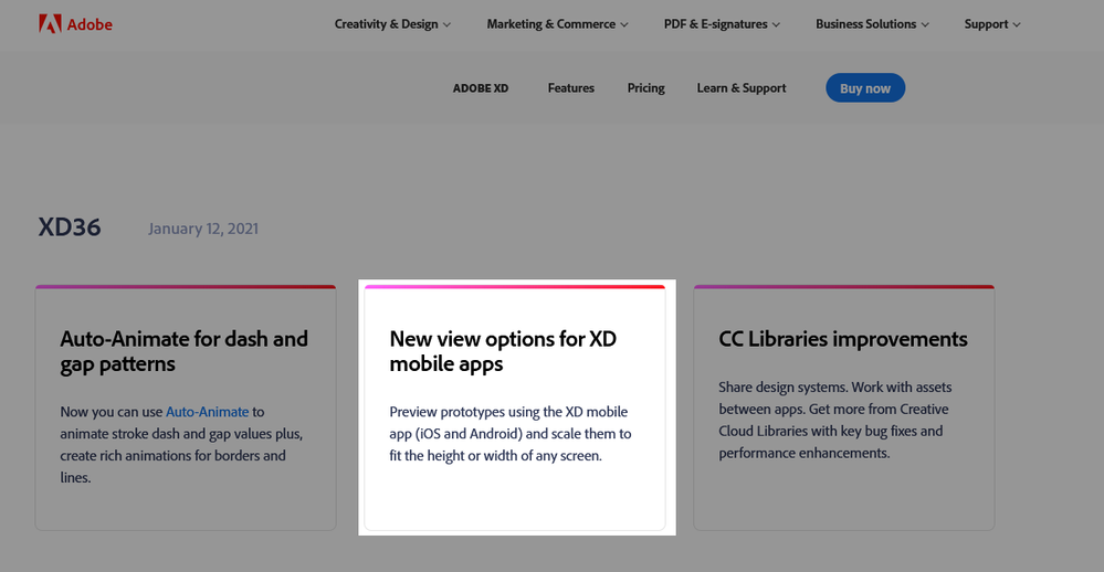 adobe XD site.png