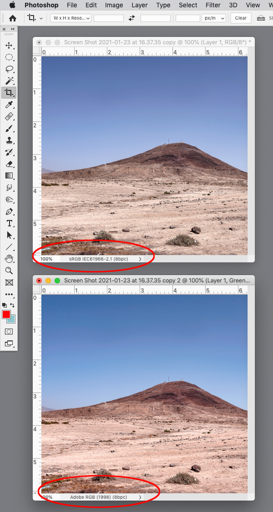 Screen Shot 18.png