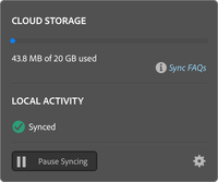 Screen Shot 2021-01-24 at 2.43.20 PM.png