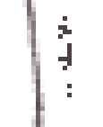 Camille5C73_0-1611532665905.png