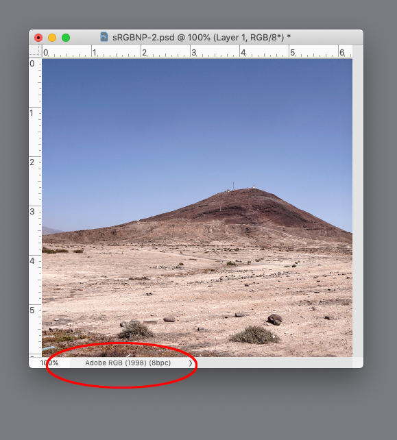 Screen Shot 17.png