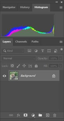 Annotation 2019-11-05 100303.jpg