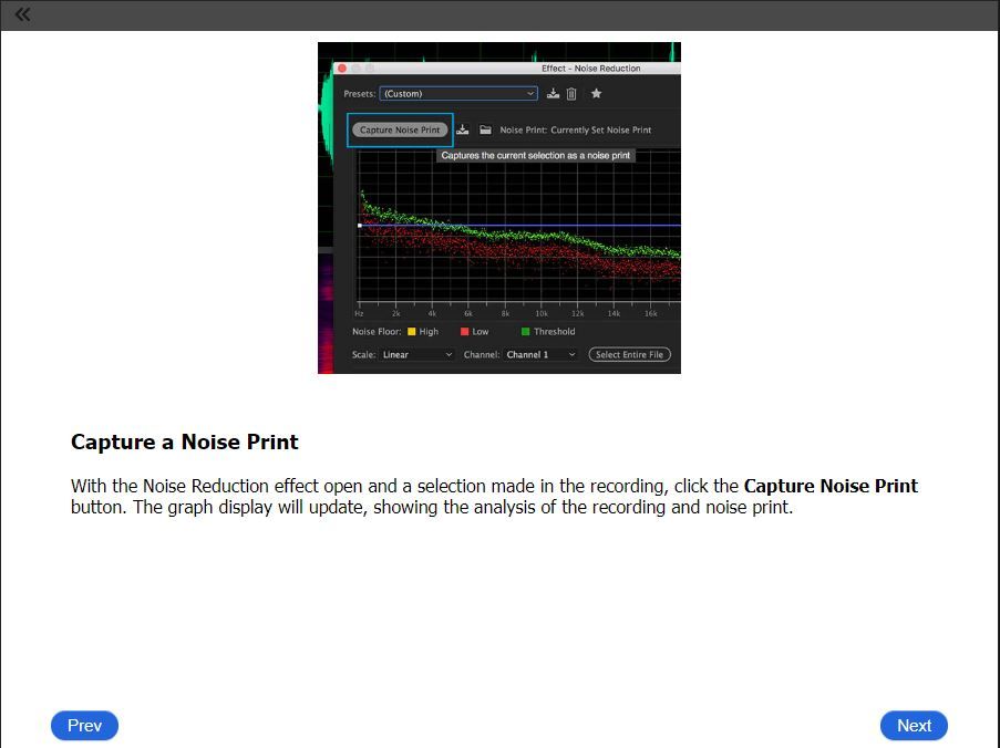 Capture Noise Print2.JPG