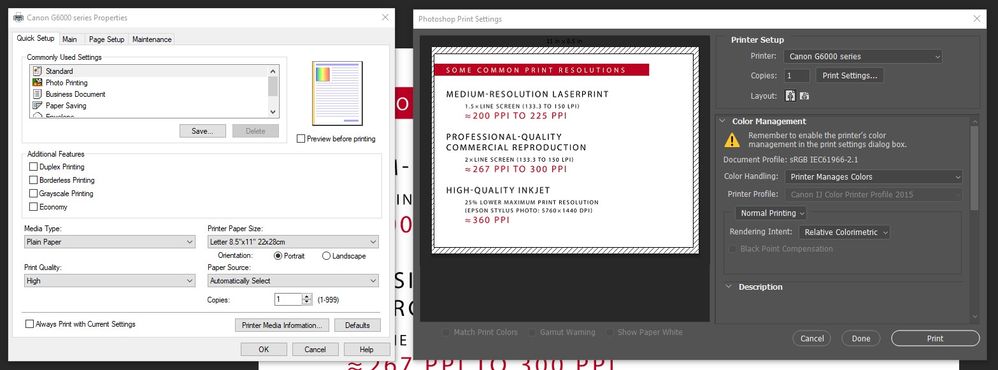 Print Settings Dialgo Box.jpg