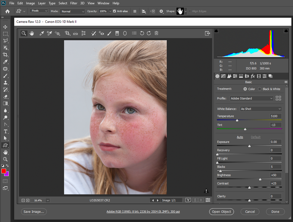 photoshop 21 0 cannot parse the file