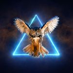 renew subscription error creative cloud