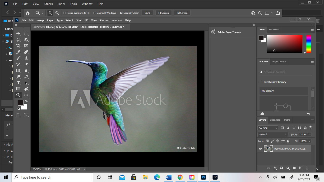 PROBLEMS USING THE QUICK ACCESS REMOVE BACKGROUND Adobe Support