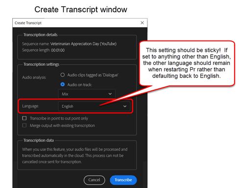 Sticky Create Transcript window.jpg