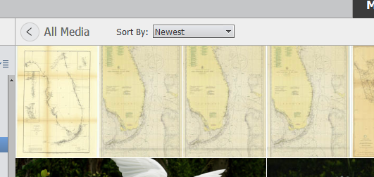 2021-03-06 15_59_44-Adobe Elements 2020 Organizer.png