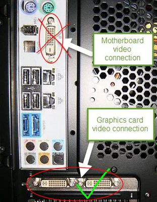 proper videocard connection.jpg