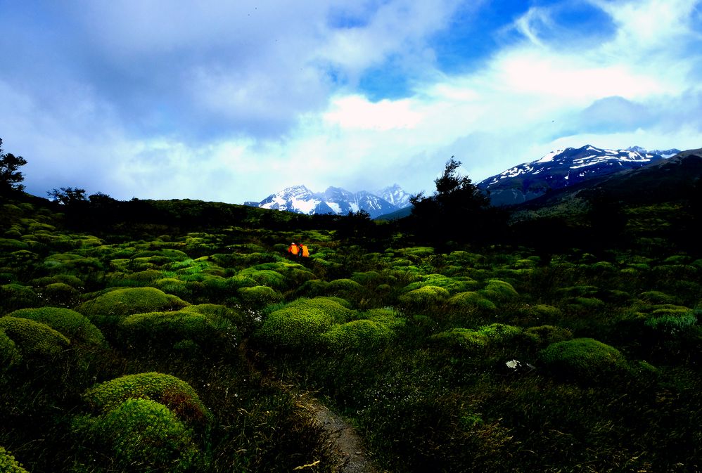 201801_patagonia_2wanderer Kopie.jpg