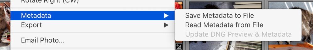 Screen Shot 2021-03-16 at 10.31.46 AM.jpg