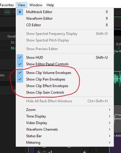 Show clip envelope in View menu.JPG