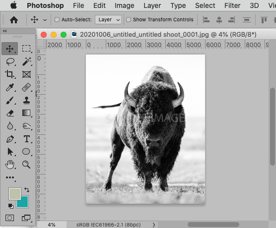 Screenshot 2021-03-24 at 08.17.08.png