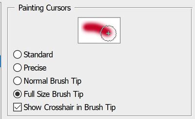 Brush Tip - Full Size Cursor.JPG