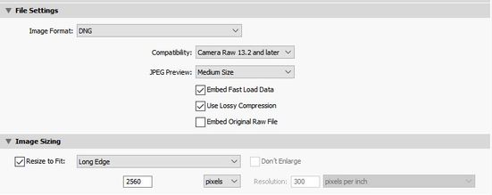 Lossy DNG Export.jpg