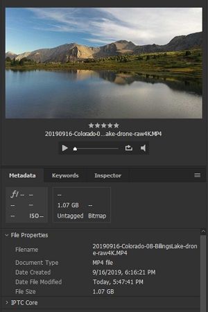 AdobeBridge-video-metadata.jpg
