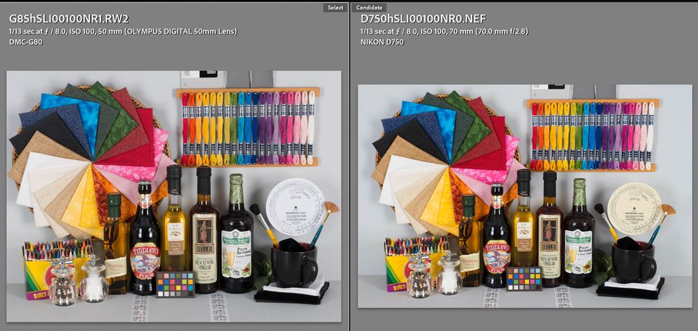 Panasonic G81 G85 Series vs Nikon D750 Adobe Standard Corrected.jpg