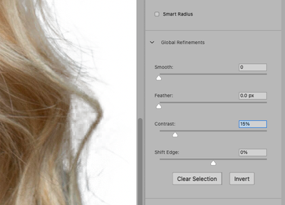 Screen Shot 2021-03-29 at 2.20.15 PM.png