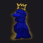 eeroanjo