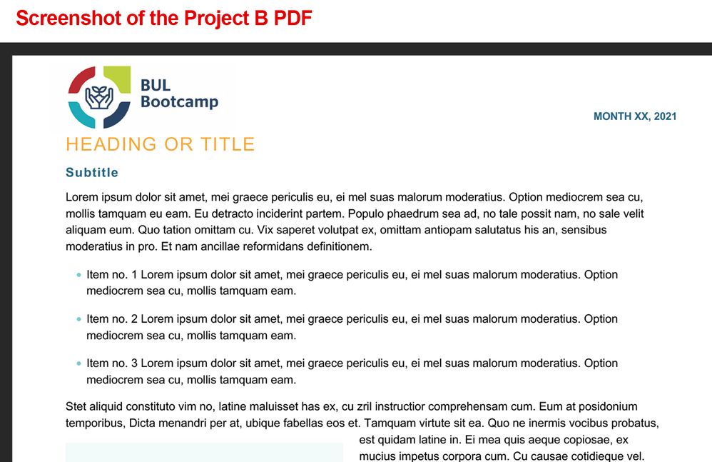 Project B PDF screenshot.jpg