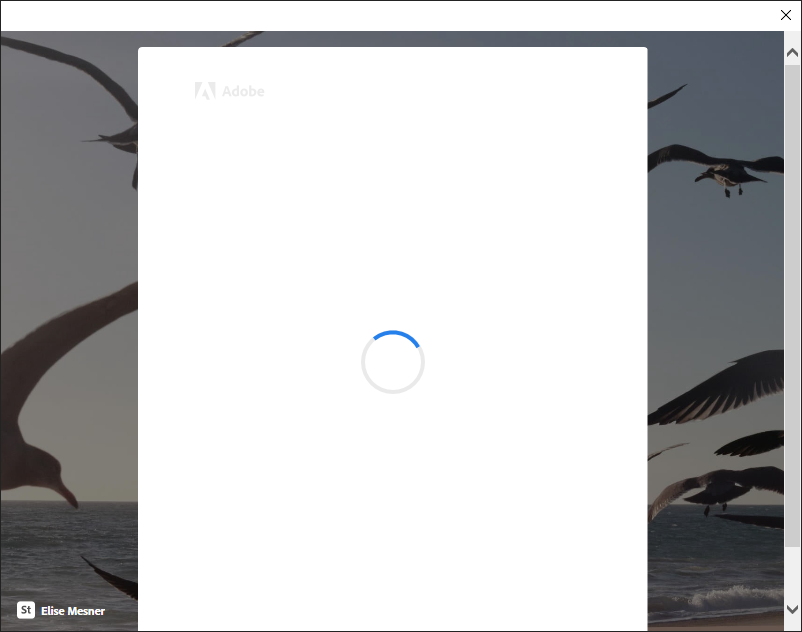 lightroom.png
