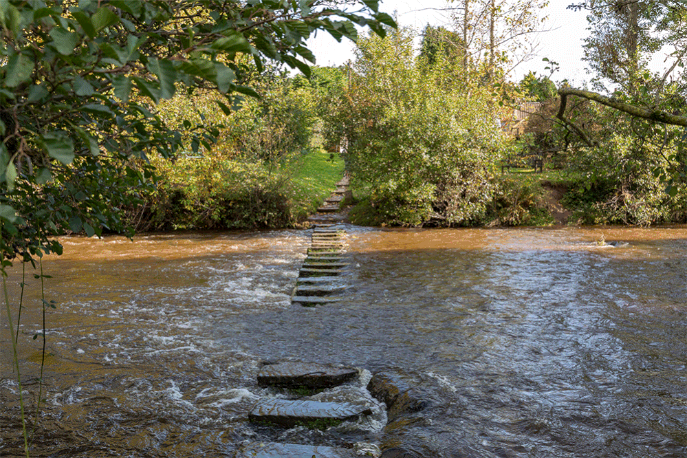 Stepping-Stones.gif