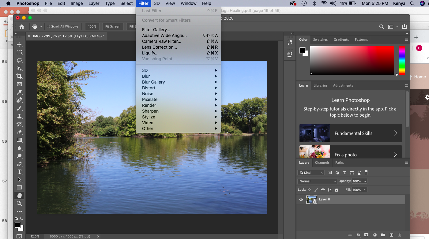 Solved: Filter->convert to smart filter grayed out in Phot... - Adobe ...