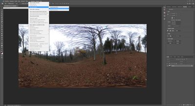 BUG Photoshop 2020 - 3D_Spherical Panorama (1).jpg