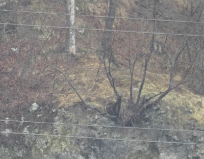Olympus_Workspace_1_4_1_crop_100_1to1_sample.png