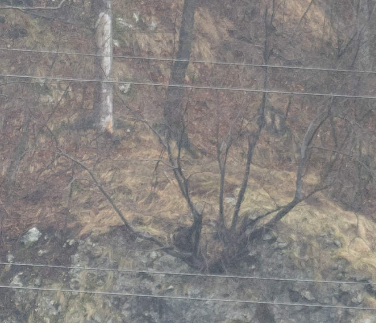 LrC_camera_raw_12_4_crop_100_1to1_sample.png