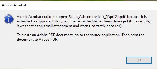 Adobe_Error.JPG