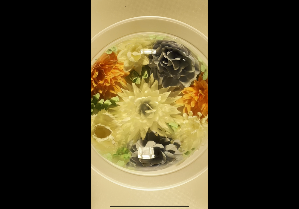 AE29DA52-6B8D-4D7E-AA0A-5BD32CB37EFD.png