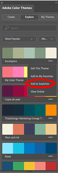 Color theme  Adobe Color