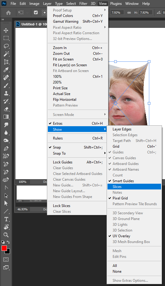 Where are the transform handles/bounding box??? Adobe Community