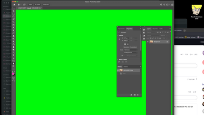 Screen Shot 2021-05-19 at 10.26.05 AM.png