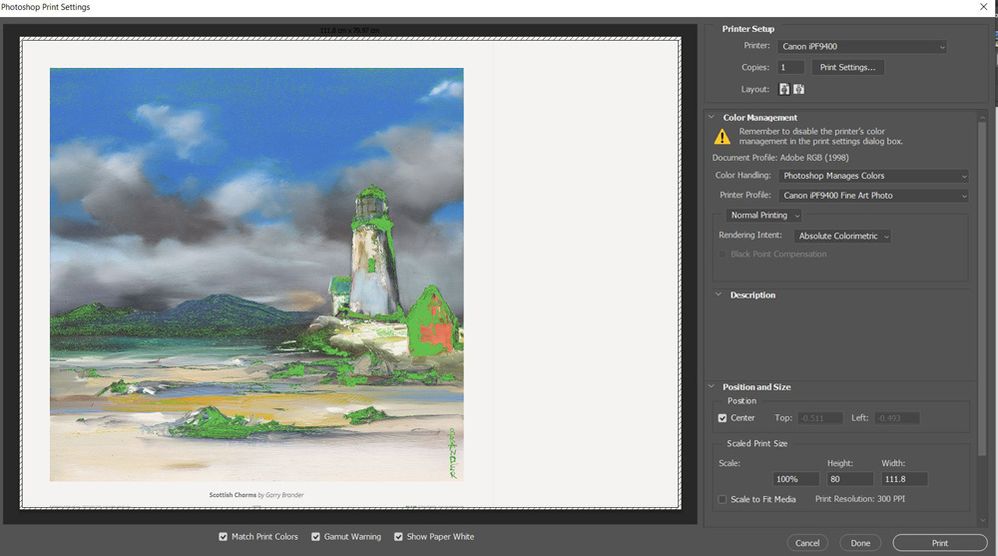 Solved: How can a Perceptual Rendering Intent Preview stil... - Adobe ...