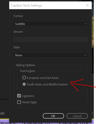 PR 2021 Captions Captions Track Settings Asian.PNG