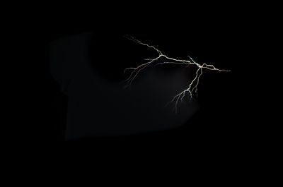 A virtual tree of lightning in the night sky of New delhi, India.jpg