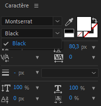 Capture d’écran 2021-06-03 122750.png